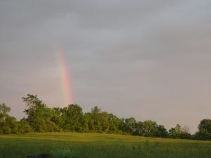 Cedar Sanderson in Ohio