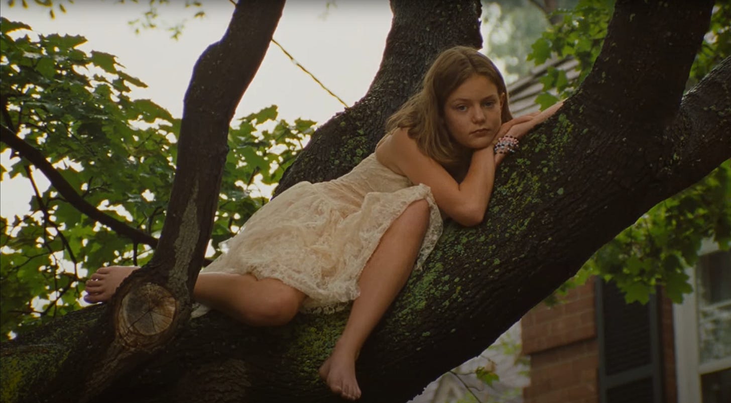 An apparition of a barefooted Cecilia Lisbon aloft in an Elm tree.