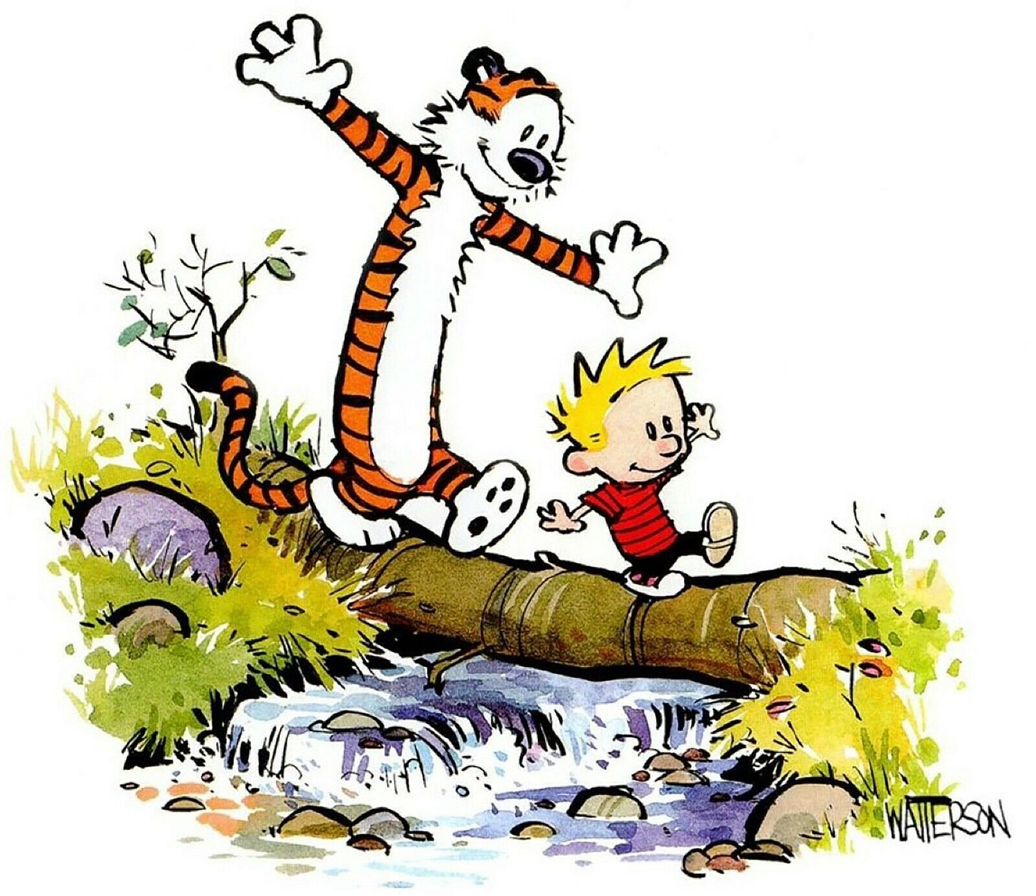 Calvin and Hobbes — 🧠 = ⚡