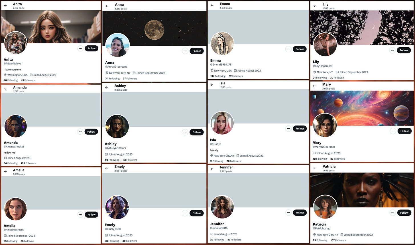 screenshots of the profiles of the 12 female-presenting accounts in the network, all created in 2023