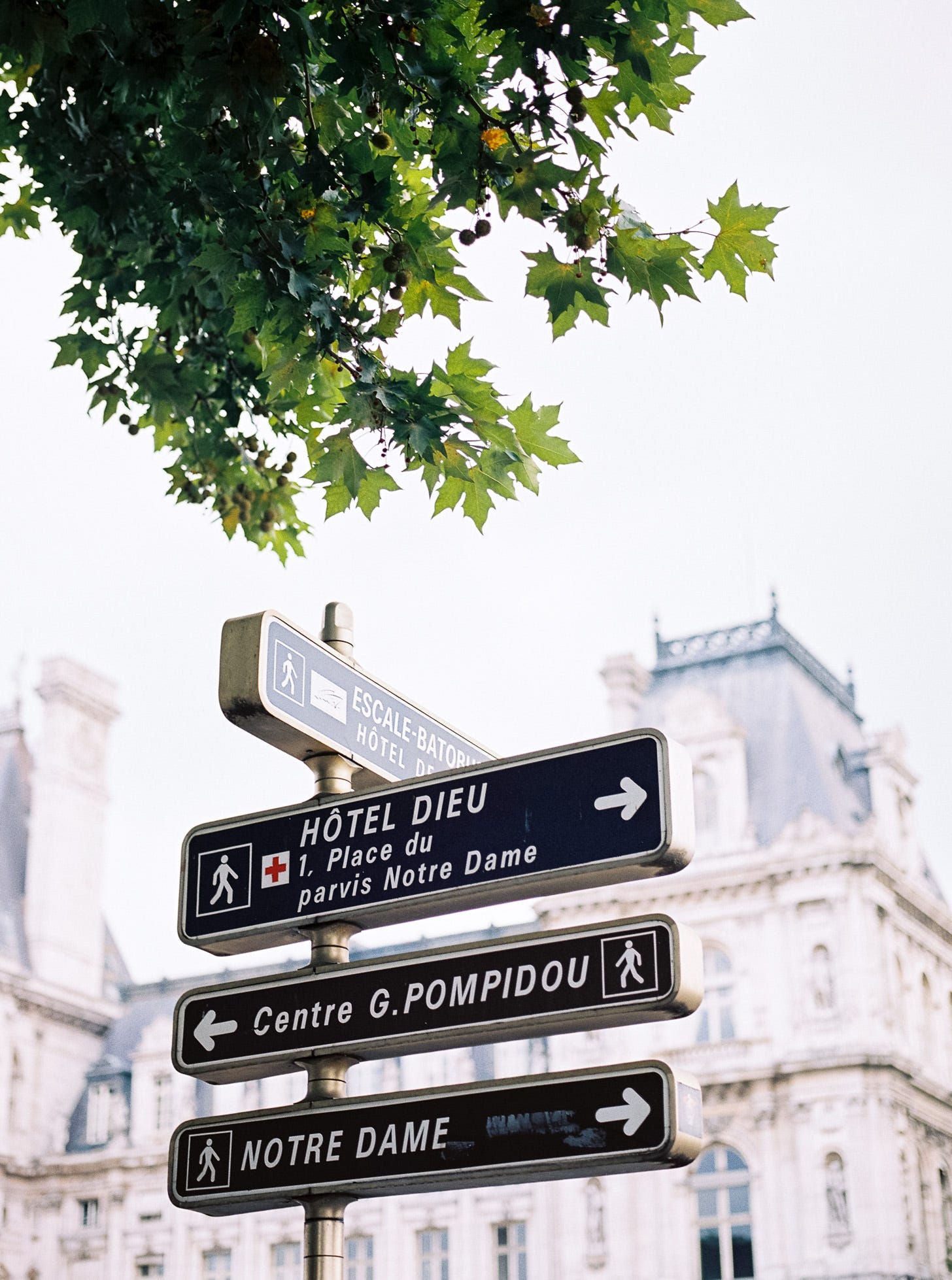 Photo of a Parisian streetscape