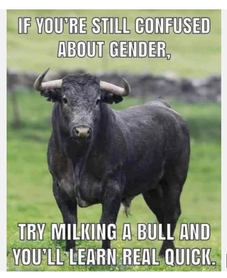 About genders………. 

