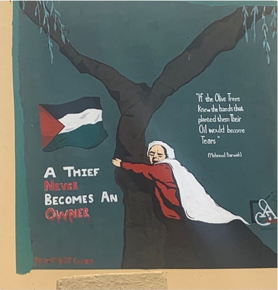 Mural of woman in headscarf crying and hugging an olive tree. Teal backfround and Palestinian flag. Text: "If the olive trees knew the hands that planted them Their Oil would become tears" (Mahmoud Darwish). "A thief never becomes an owner"