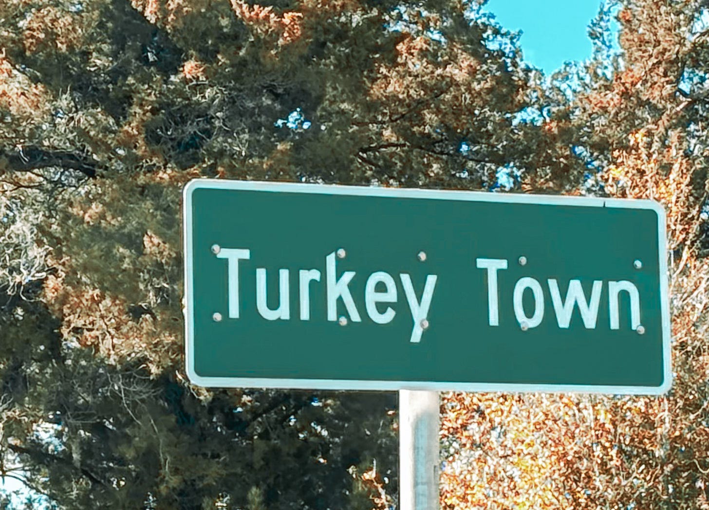 Road sign with the words Turkey Town with trees in background