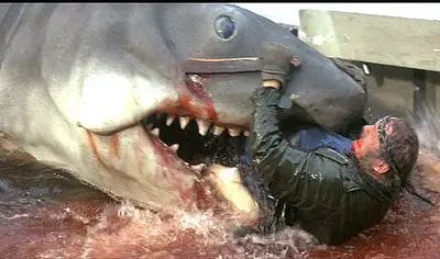 Death Scene of the Week: Jaws - Quint gets chomped! | Horror Cult Films