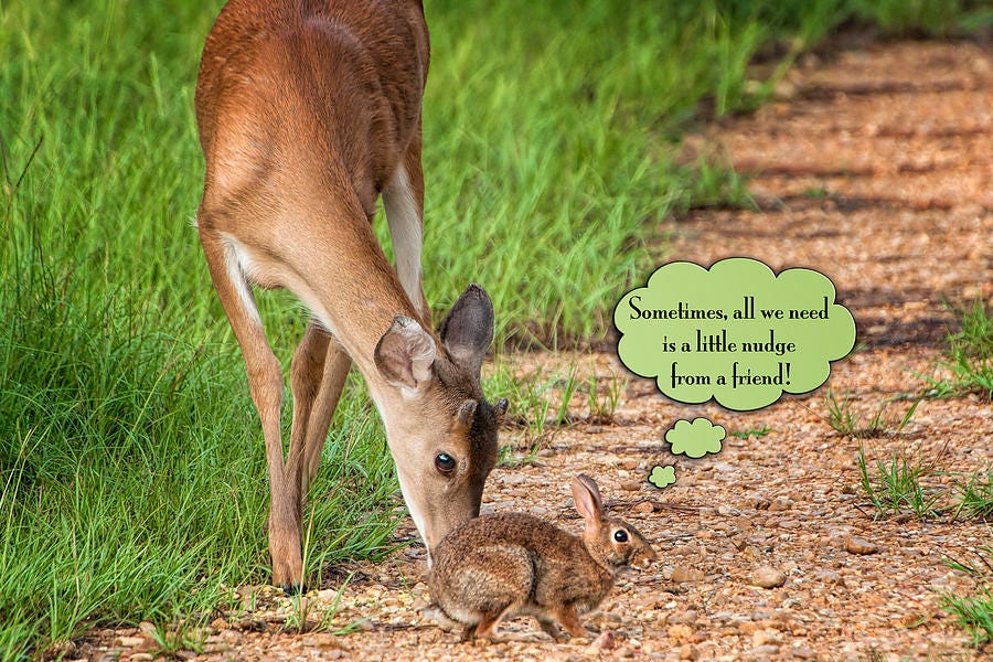 Sometimes all we need is a little nudge from a friend by Bonnie Barry