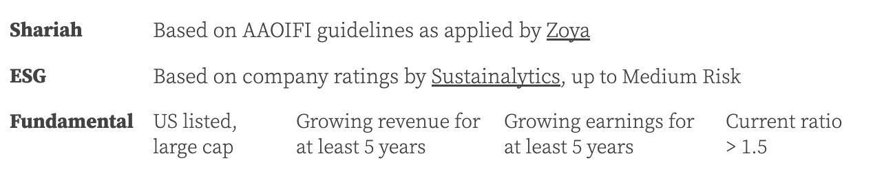 best performing halal stocks selection criteria