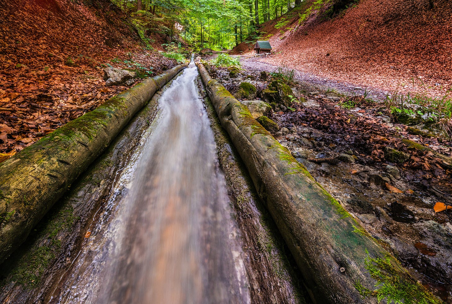 Water channel edged by logs between two banks in a forest,covered in autumn leaves.