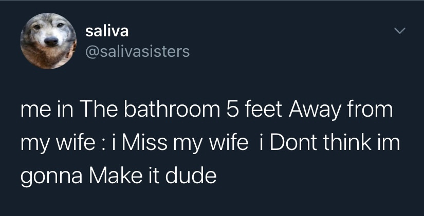 screenshot of tweet from user @salivasisters. tweet reads: me in the bathroom 5 feet away from my wife: I miss my wife I don't think I'm gonna make it dude
