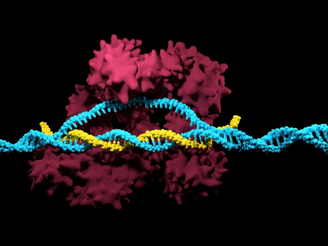 CRISPR-Cas9