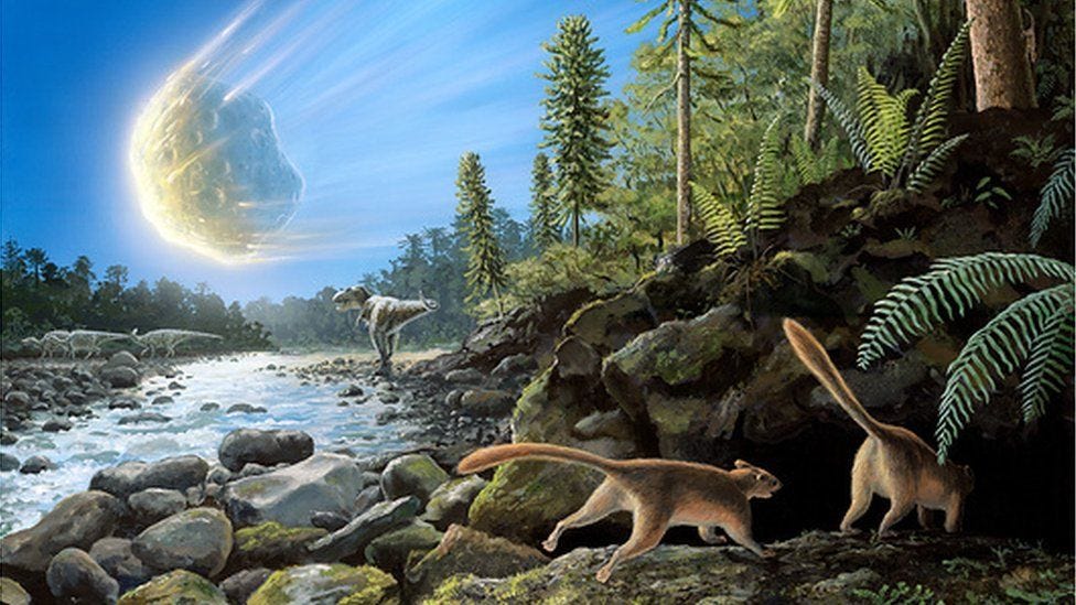 Rise of mammals 'began well before dinosaur extinction' - BBC News