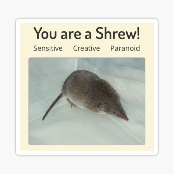 You are a Shrew!" Sticker for Sale by bunnipop | Redbubble