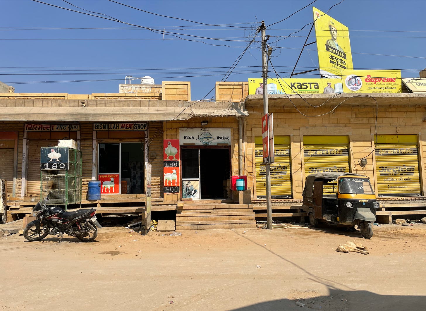 A tableau of small-town India in the late afternoon: a fish shop and butcher shop, before which are parked a motorcycle and autorickshaw, and a dog sleeps in the street.