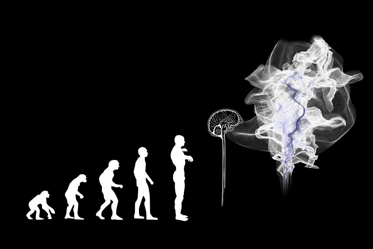 Evolution, Artificial Intelligence, Brain, Spirit
