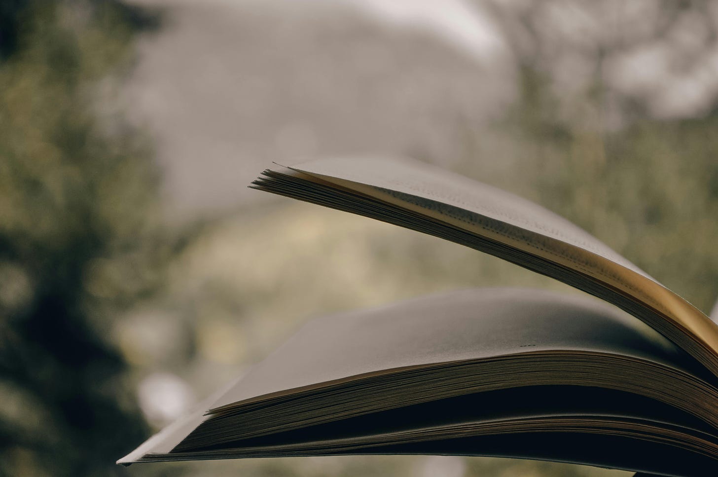 Book with pages blowing in wind. Photo by Zeynep Sena  Açar: https://www.pexels.com/photo/pages-of-an-open-book-8685447/