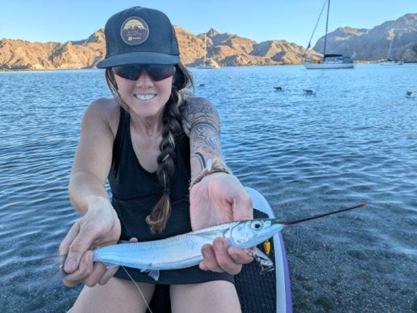 a young woman kneeling on a paddleboard at the edge of blue water, holding a 12" long silver fish with lit up orange mountains in the distance