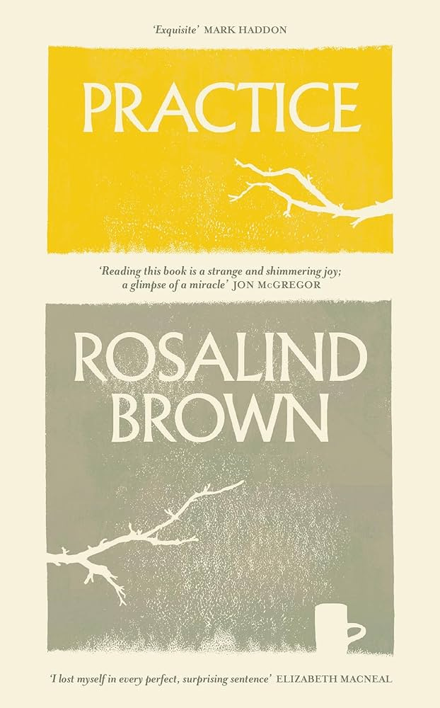 Cover of Practice by Rosalind Brown, with Albertus lettering and the white silhouettes of a tree branch and a cup