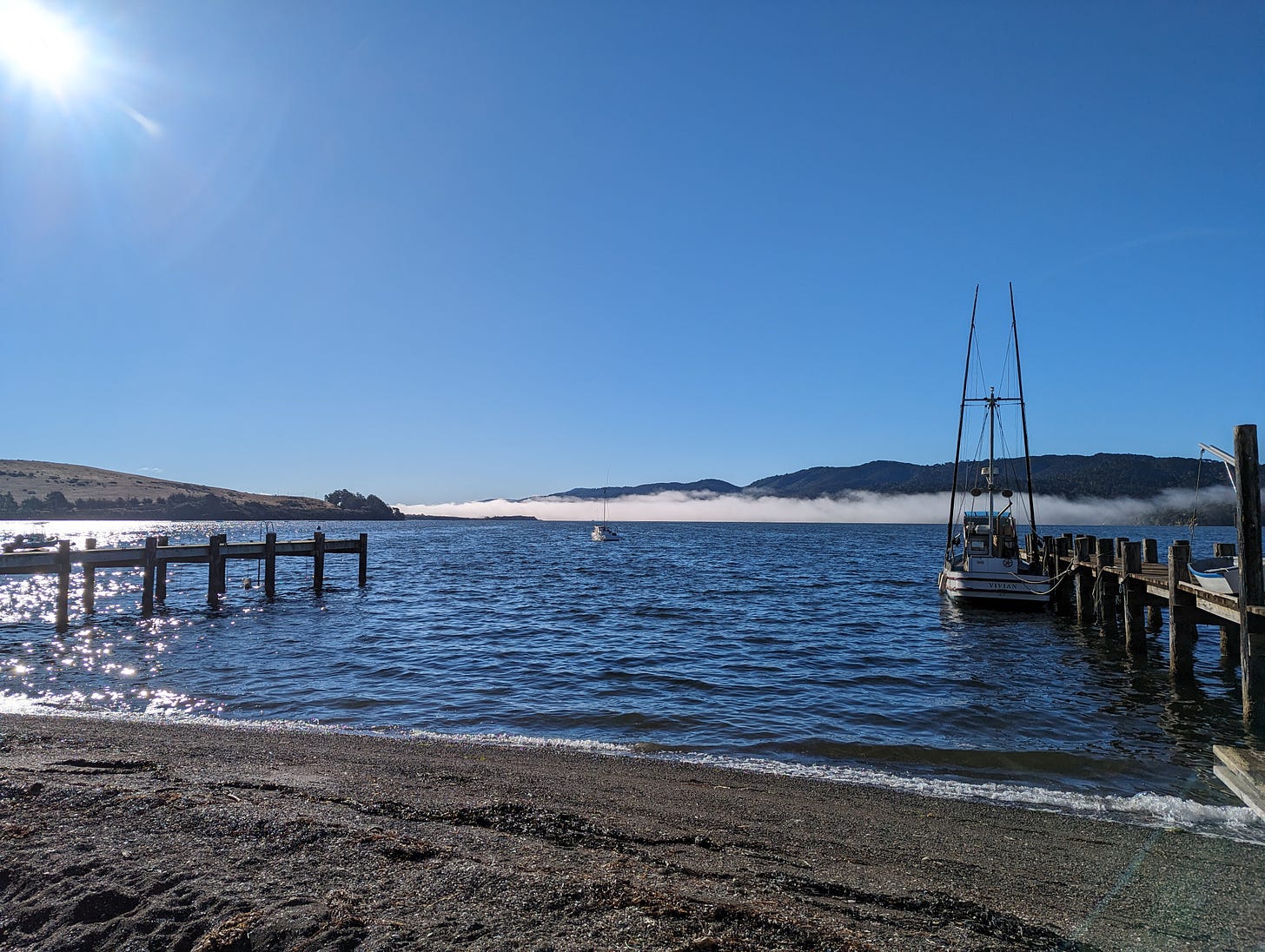 Thin line of fog across Tomales Bay, hills in distance, docked sailboats in foreground