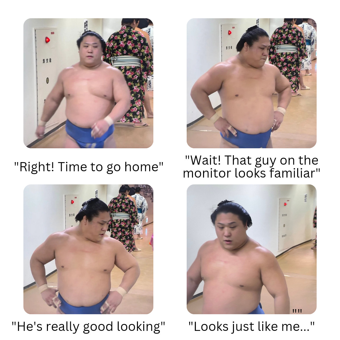 r/SumoMemes - Engaging in honest post-bout self-analysis is important for every rikishi. 