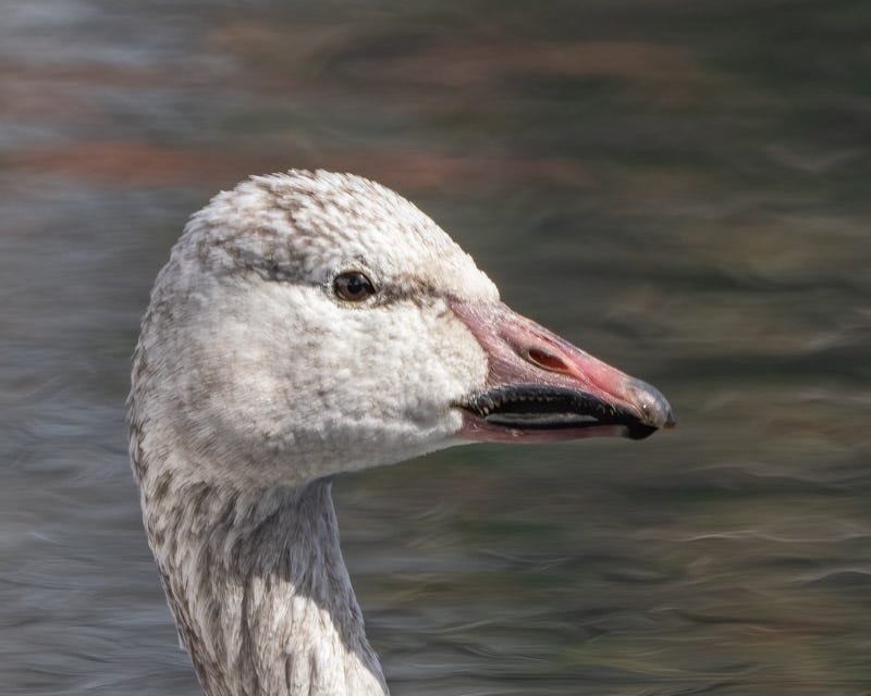 20250228-HillFarm-136-Edit.jpg