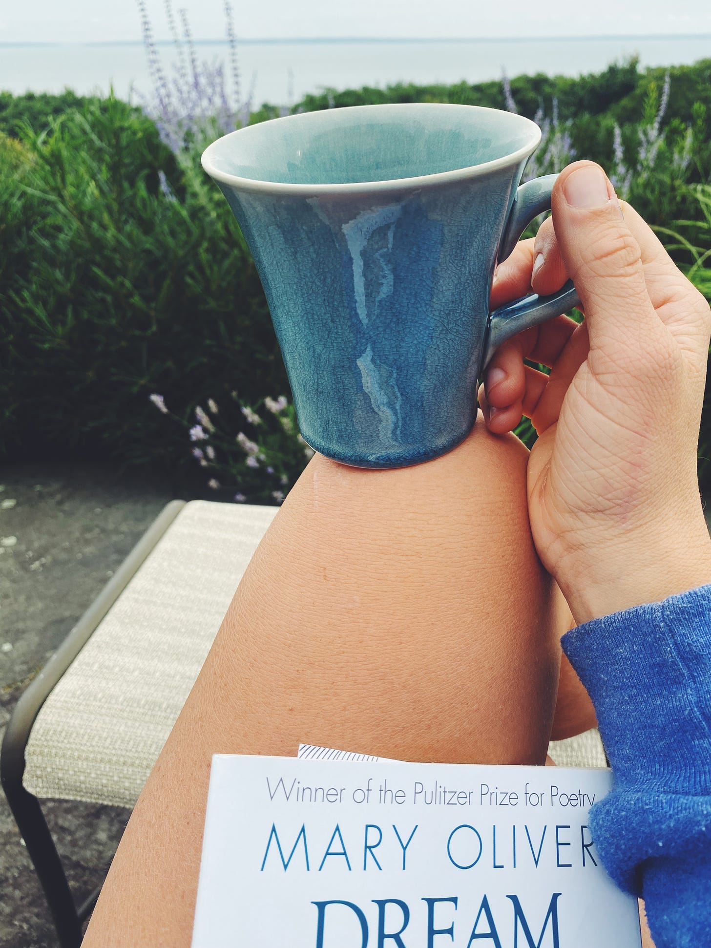 Holding a cup of coffee and Mary Oliver's book of poetry "Dream work" looking out over the ocean