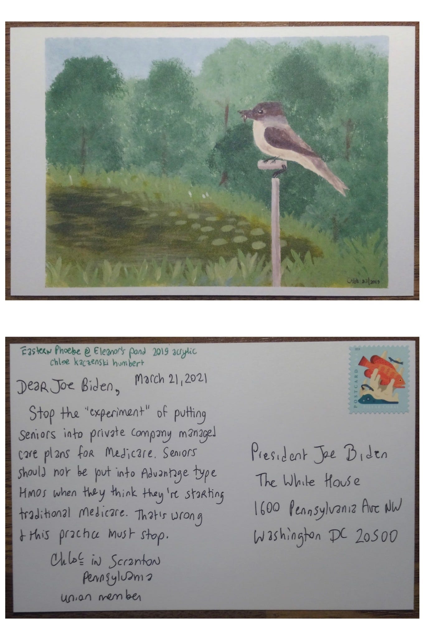 The image is of a postcard, front and back, the front is a painting of an eastern phoebe bird on a pole perch next to a pond surrounded by trees. The postcard has a fish postcard stamp and is addressed to President Joe Biden at the White House address, is dated March 21, 2021, and reads Dear Joe Biden, Stop the “experiment” of putting seniors into private company managed care plans for Medicare. Seniors should not be put into Advantage type HMOs when they think they’re starting traditional Medicare. That’s wrong & this practice must stop. Chloe in Scranton Pennsylvania union member. 