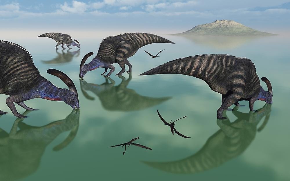 A small herd of Parasaurolophus dinosaurs feeding and drinking from an ...