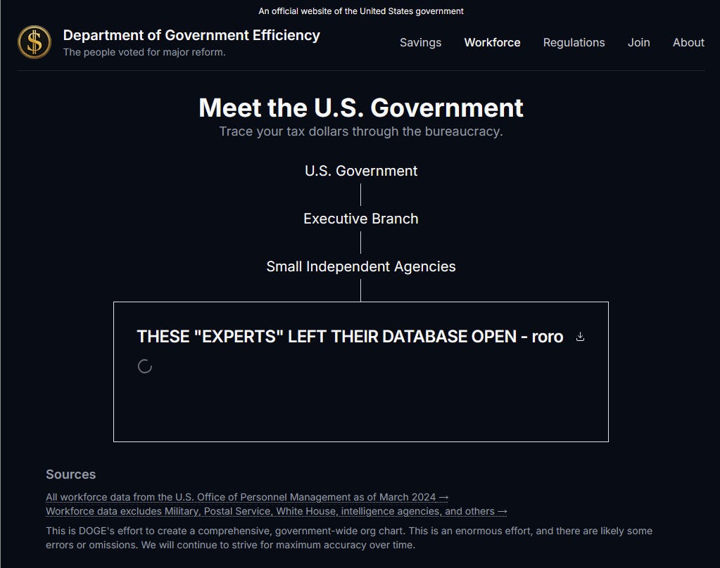 The doge.gov homepage with the text, "THESE "EXPERTS" LEFT THEIR DATABASE OPEN - roro"