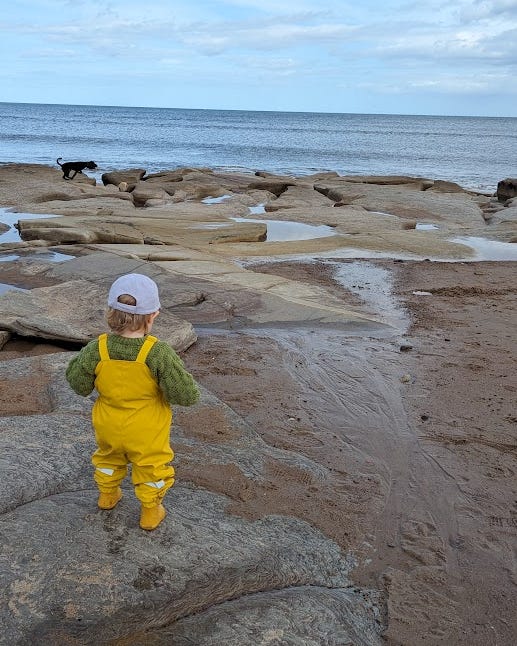 A toddler in yellow waders and a cap, facing the sea standing on a rock.