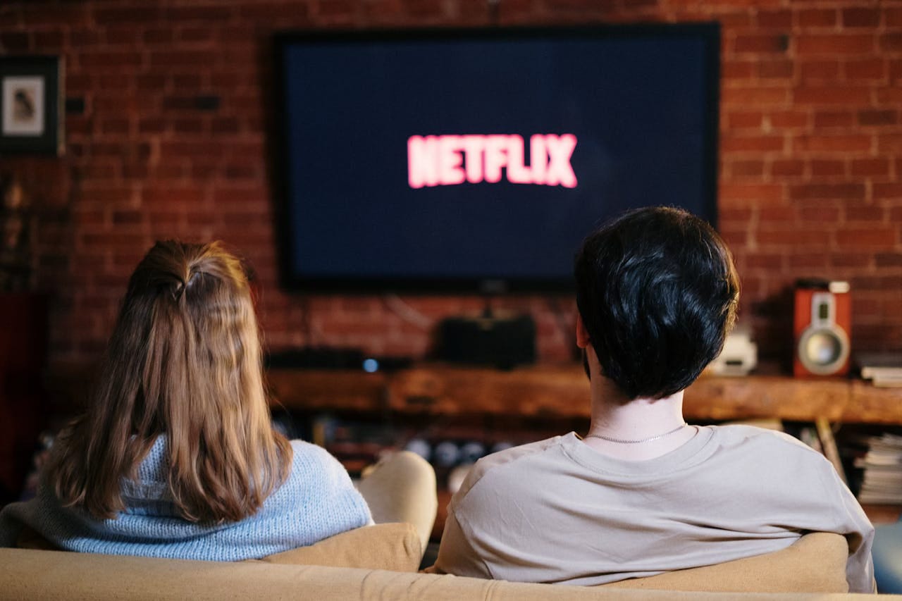 A couple, backs to camera, watch a TV showing the Netflix logo.