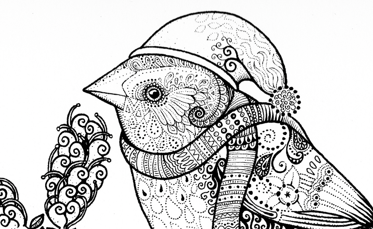 red browed finch black and white line artwork illustration free colouring sheet