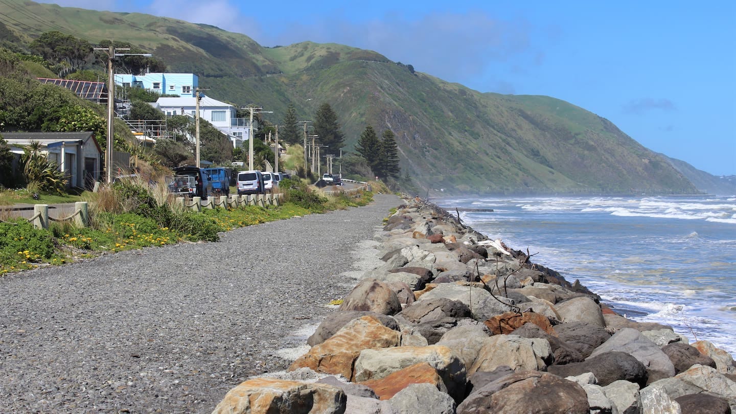 Paekākāriki is one of the areas where snapper with cataracts, kidney inflammation, and fibrosis in the livers were consistently observed. Photo / NZME