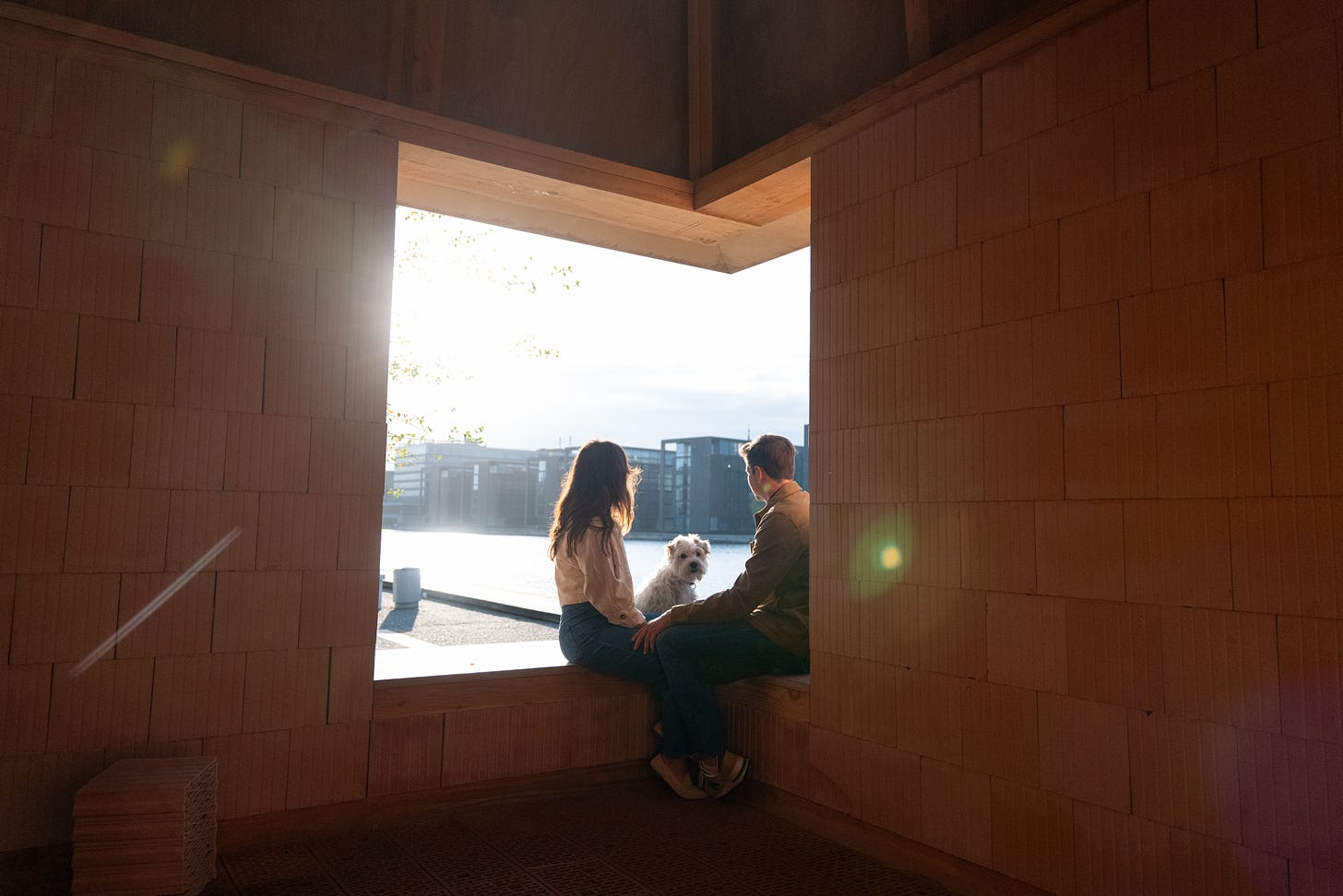 The author and her partner sitting in a windowsill with their dog. Walter. He's a wire hair jack russell terrier and while they look out toward Copenhagen Harbor, the dog is turned back toward the camera.