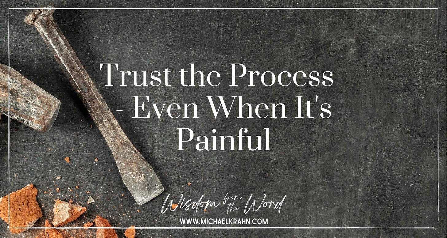 Trust the Process – Even When It's Painful – Michael Krahn