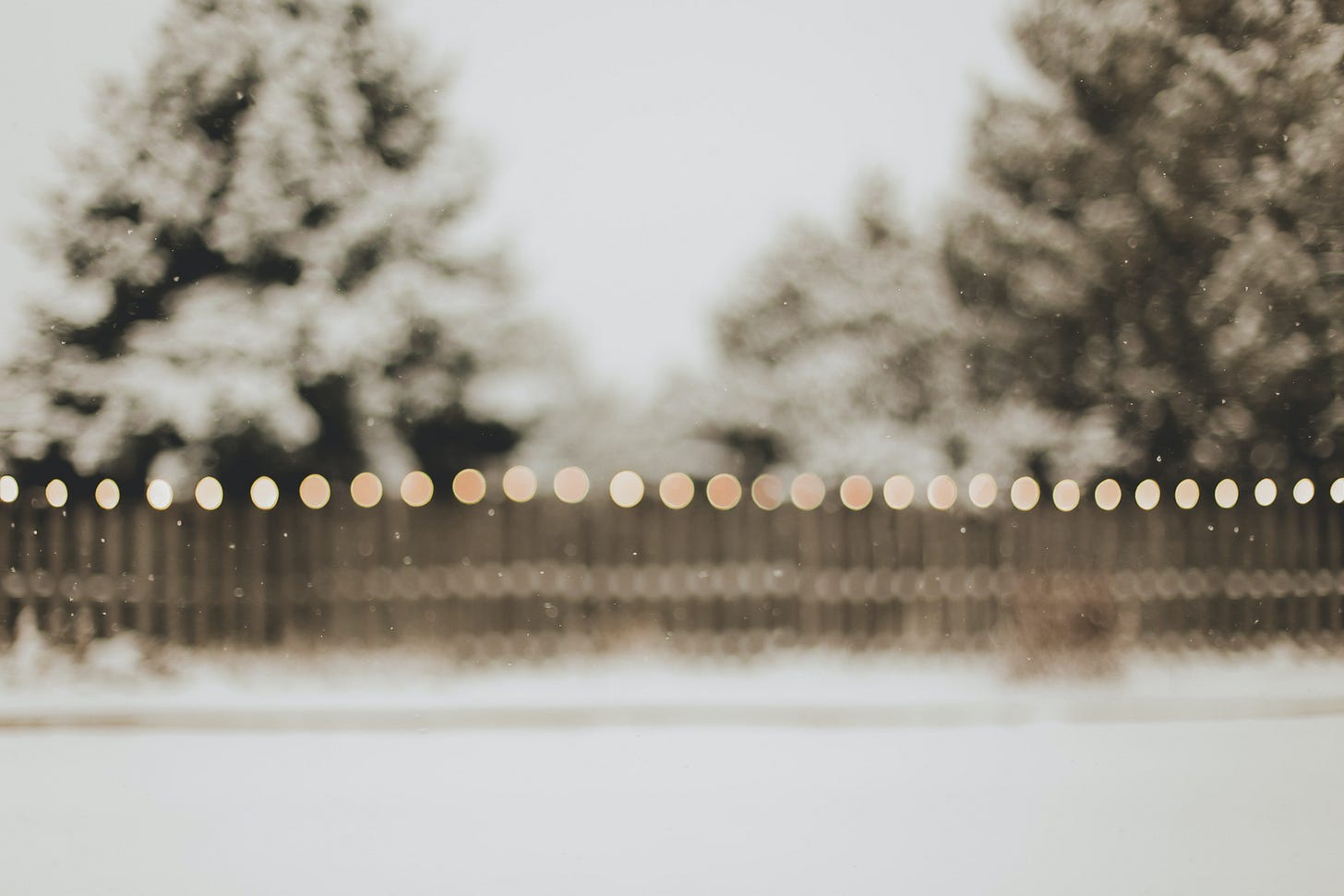 Blurry image of trees and a fence with lights in a white winter landscape