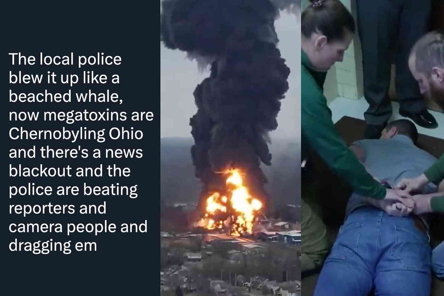 Did you hear about the Ohio train crash last week that sent a plume of toxic gas into the air and is reportedly killing animals for miles around?