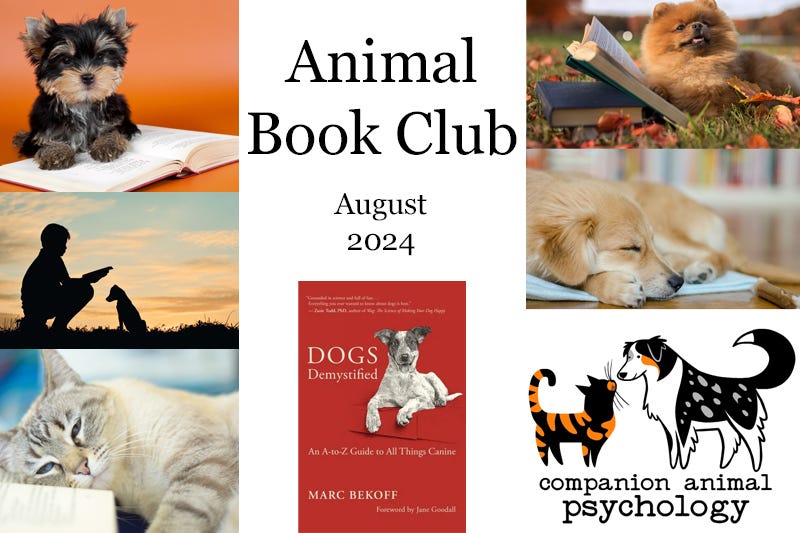 The flyer features photos of dogs with books, and the cover of Dogs Demystified which is red with a drawing of a French Bulldog