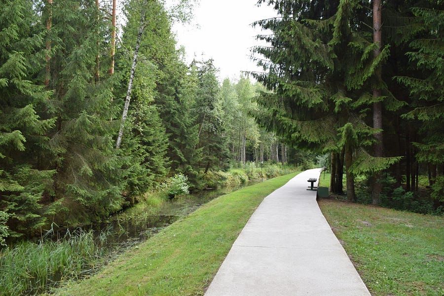 Long path way through a forest area.