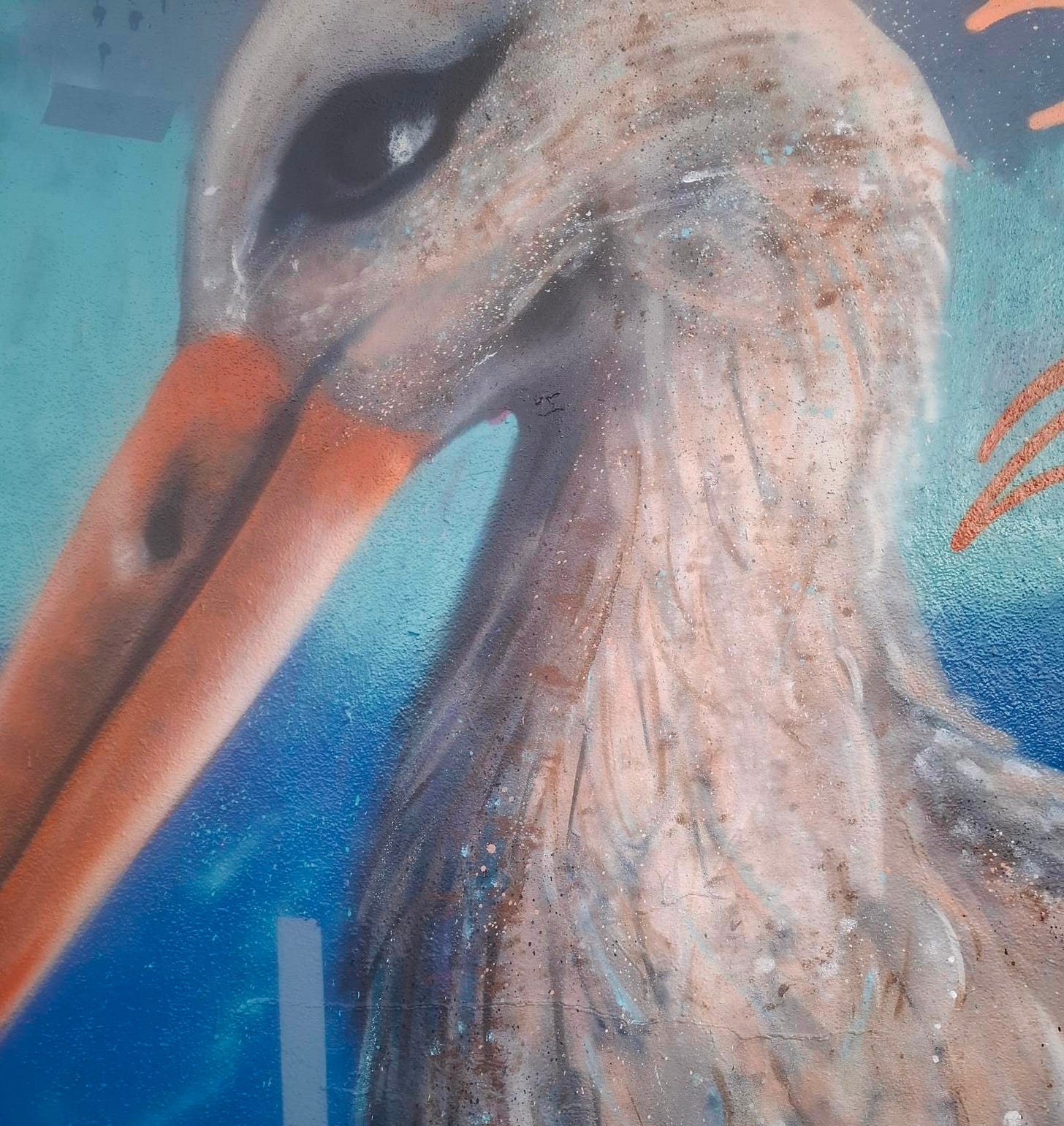 Barcelona zoo graffiti, artist unknown