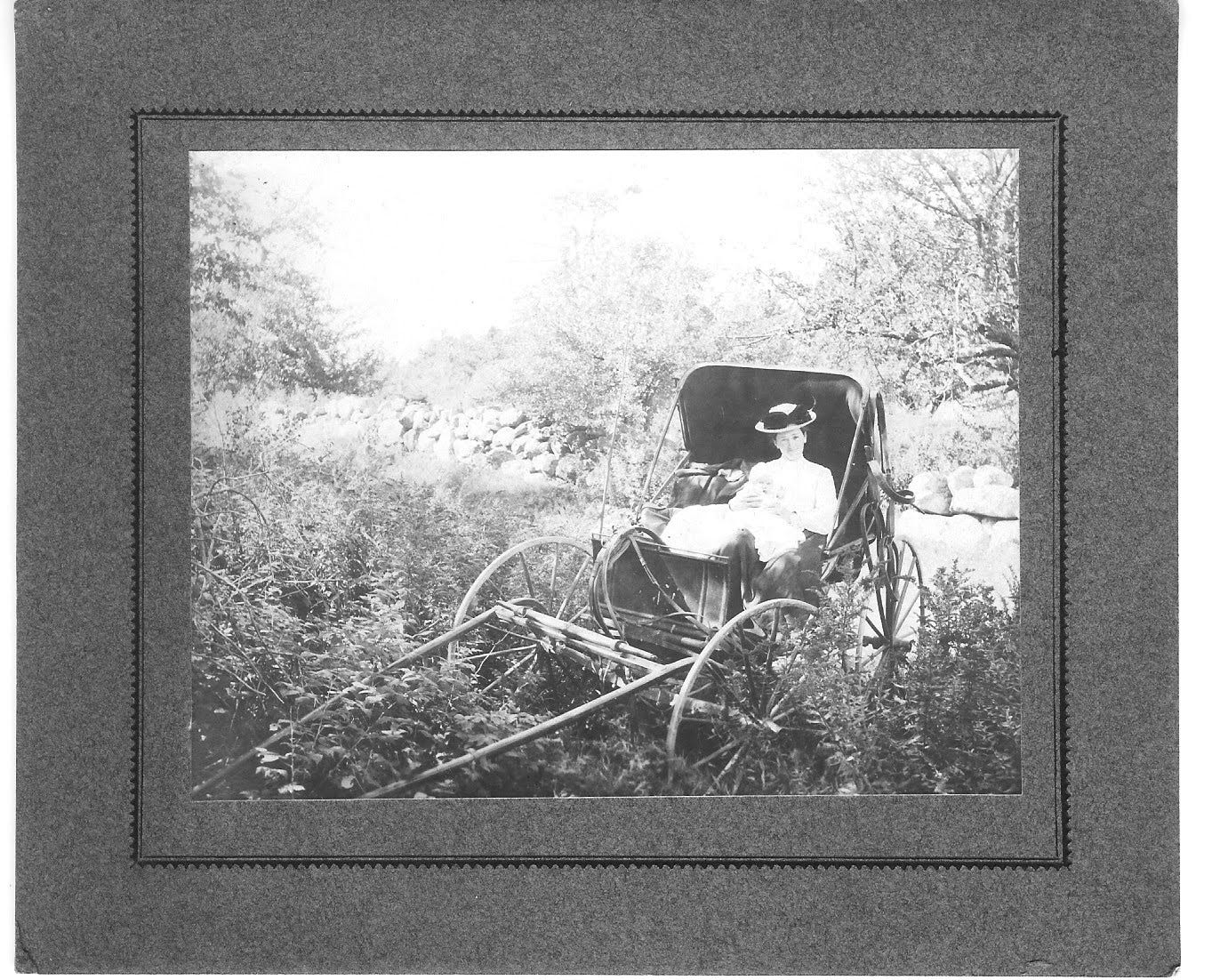 Woman in horse cart