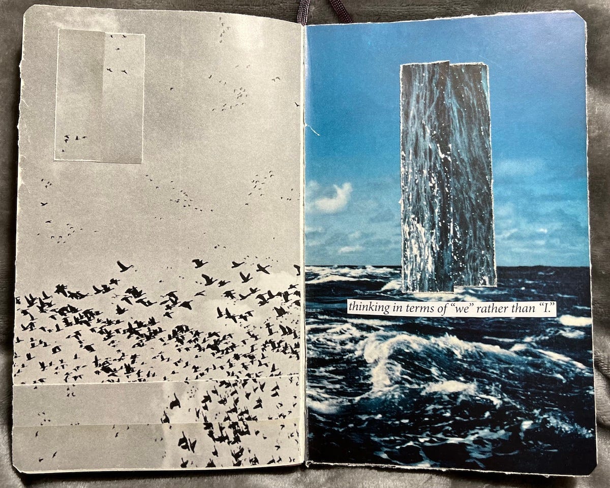 two-page collage spread, the left is a black and white photo of a flock of birds flying against the sky, the right photo is the ocean horizon and blue sky with a vertical column arising from the water above the words "thinking in terms of 'we' rather than 'i'"