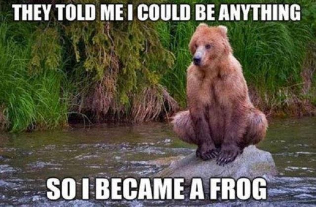 The 20 Funniest Animal Memes