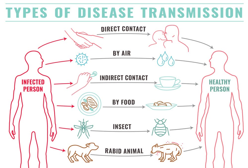 Viroid Vs Virus: How Are Viroids Different From Viruses?