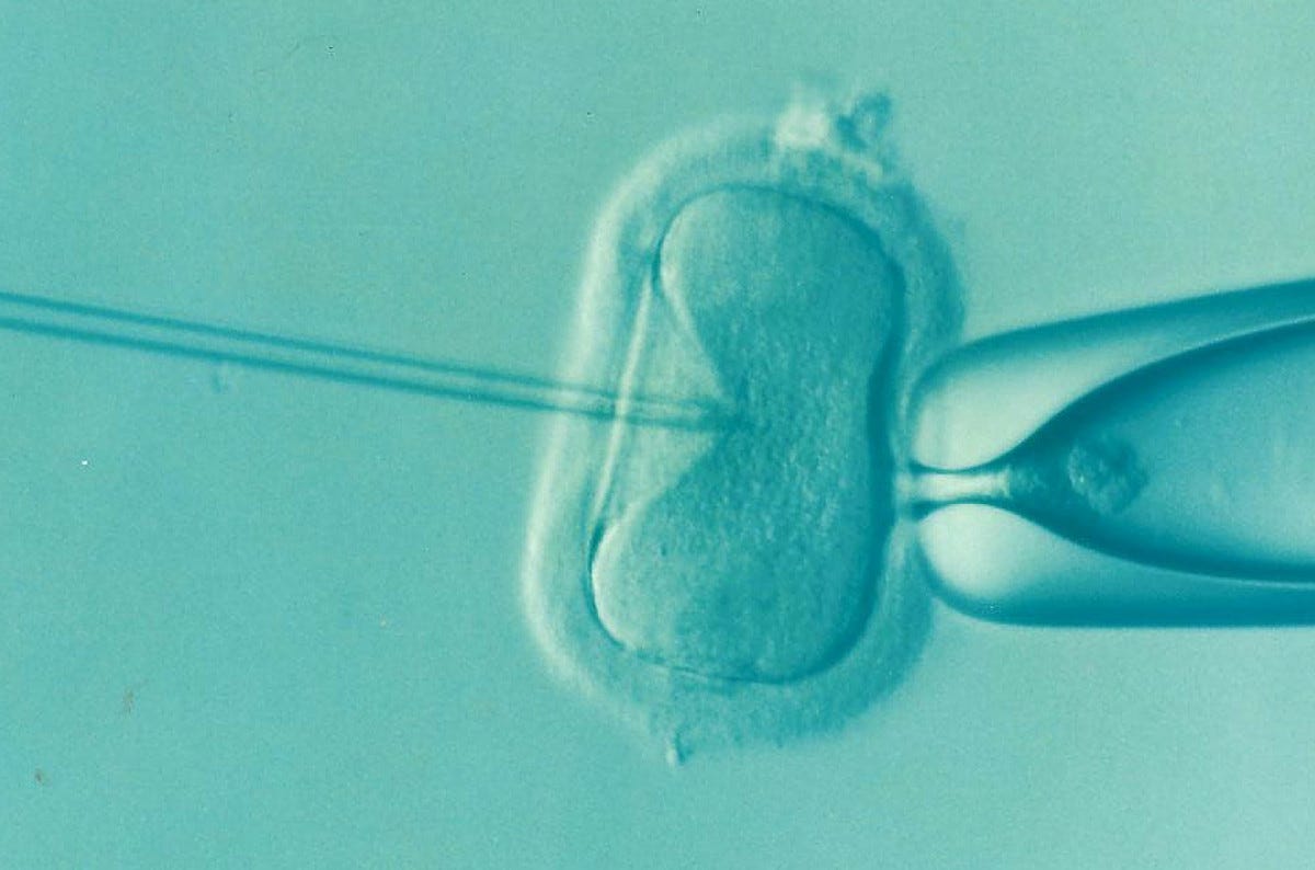 IVF procedure in which an egg receives an injection of sperm