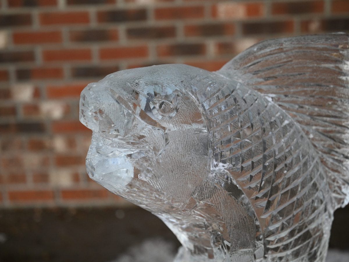 Photo Gallery: Ice Carving Demonstration on Long Wharf Mall