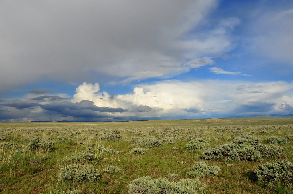 The Big Empty | Sage steppe habitat in southwest Wyoming. Ph… | Flickr