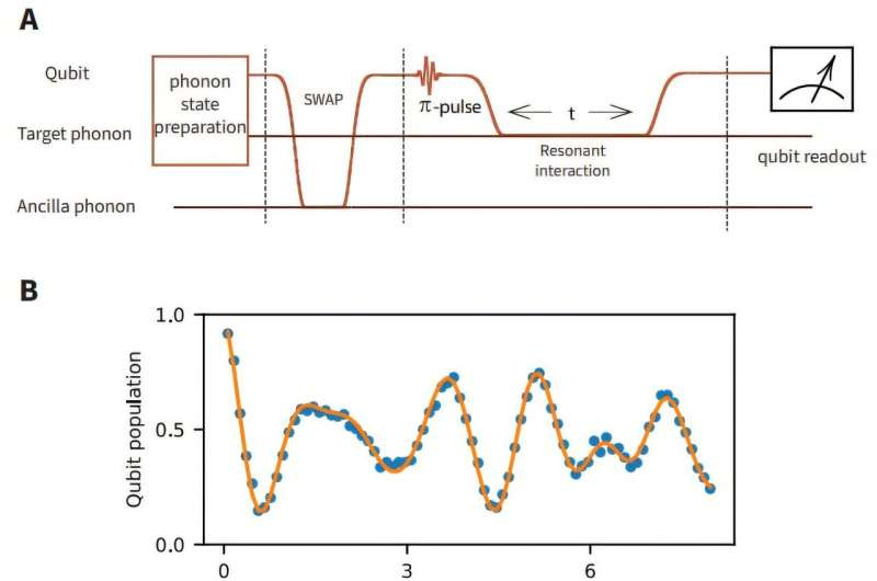 Resonant-interaction phonon number measurement. A, Experimental sequence for the resonant-interaction phonon number measurement. B, An example of measured and fitted data using RPN. C, Fitted phonon population for each Fock state. Credit: Science (2024). DOI: 10.1126/science.adr2464 Physicists create the first fully mechanical qubit