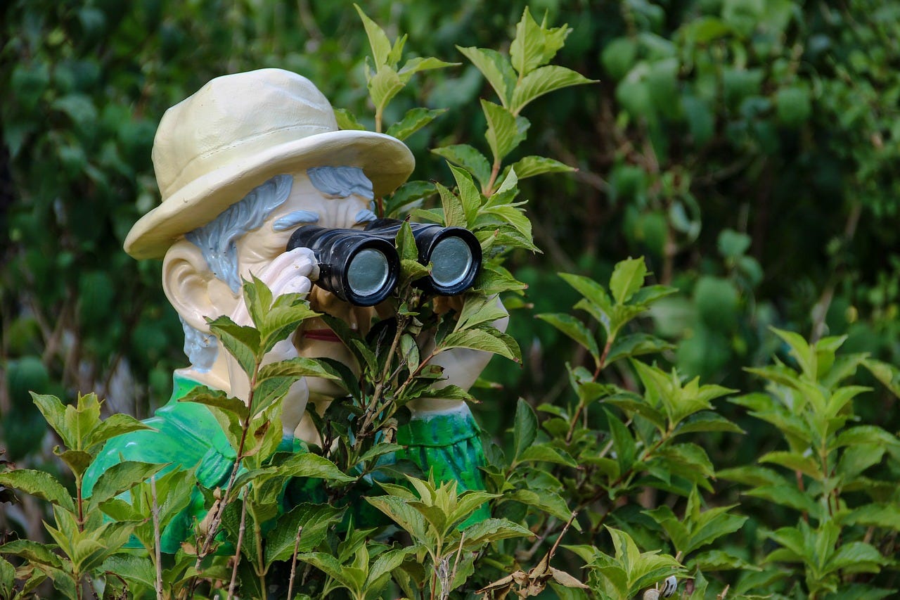 A garden statue holding binoculars, presumably supervising your pruning.