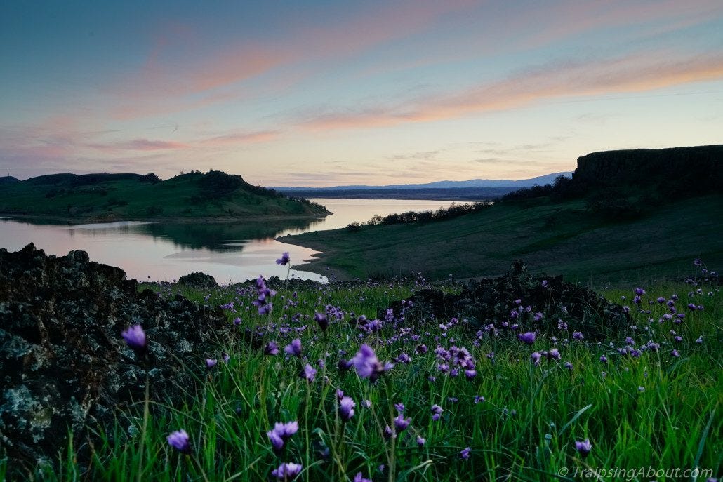 Black Butte Lake sunset flowers