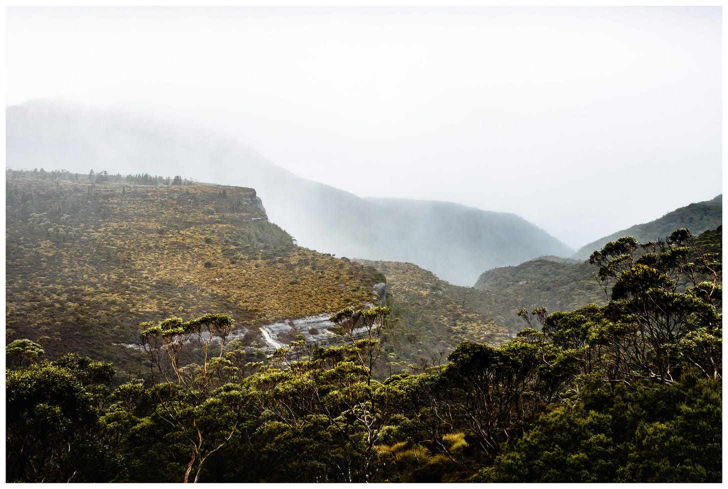 View down Waterfall Valley, Tasmania